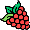 raspberry