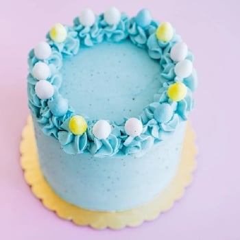 Bluebird Delight