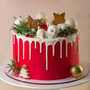 Christmas Cake with Cream Frosting and Cranberries