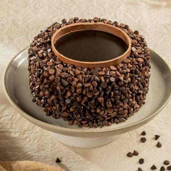 Classic Chocochips Cake