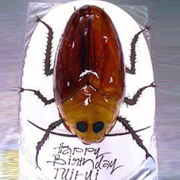 Oggy Cockroach Theme Cake