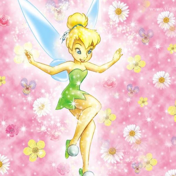 P Tinker bell1 Photo Cake