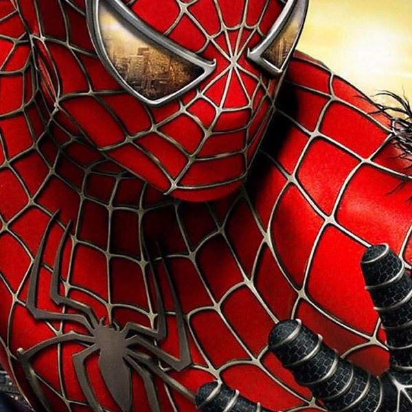 Spiderman2 Photo Cake