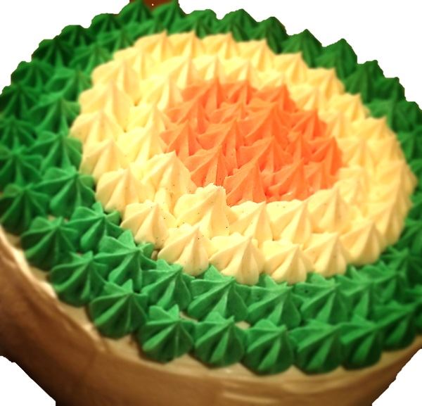 Tricolour Theme Cake 02