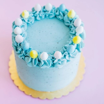 Bluebird Delight