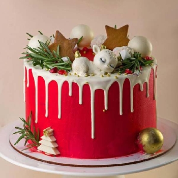 Christmas Cake with Cream Frosting and Cranberries