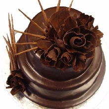 Classic Chocolate AN13 Cream