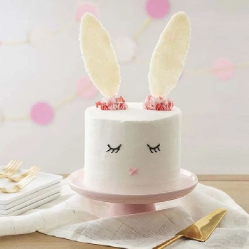 Dreamy Bunny Delight