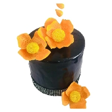 Elite Designer Cake NM36