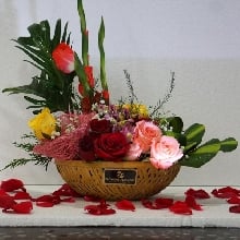 Garden of Fresh cut