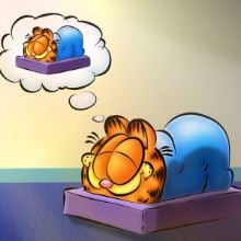 Garfield Photo Cake