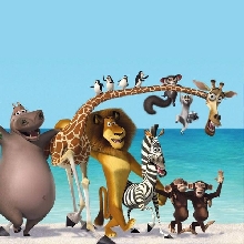 Madagascar  Photo Cake