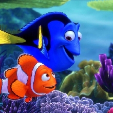 Nemo Photo Cake