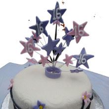 Starry16 Fondant Cake