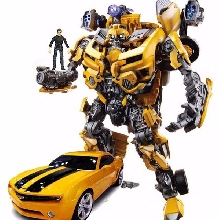 T bumblebee Photo Cake