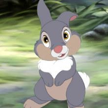 Thumper Photo Cake